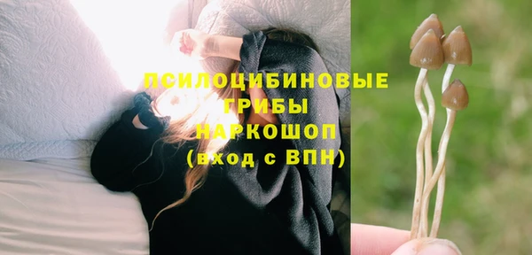 амф Абаза