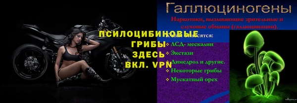 амф Абаза