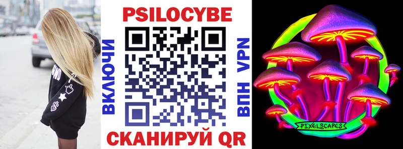 где купить наркотик  Хабаровск  Псилоцибиновые грибы Psilocybe 